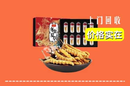 大同市左云回收冬虫夏草